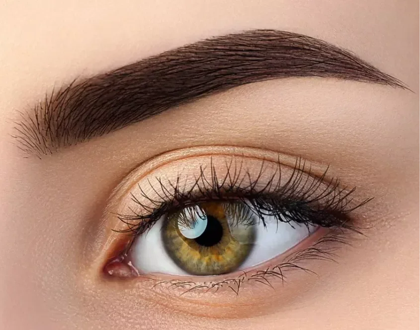 Relouis тени для бровей PRO Brow Powder 03 Dark brown 03