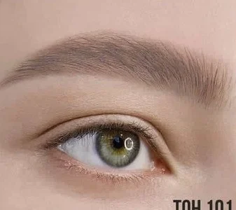 Гель-тинт для бровей LUXVISAGE Brow Tint Waterproof 101, taupe