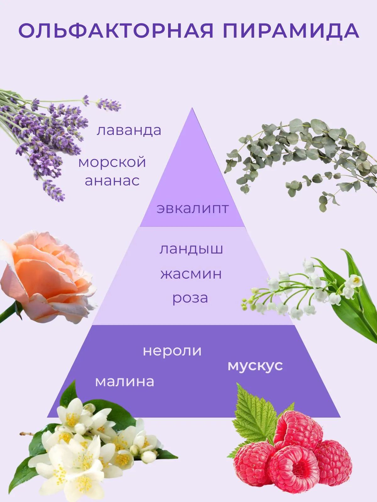 Кондиционер для белья Consensus Fabric Softener аромат лаванды и бамбука, 3 л,